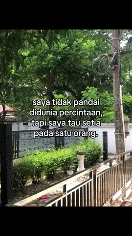 #galaubrutal 