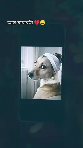 🙂💔 #funnyvideo #funny #fypシ゚ #foryou #vairalvideo 