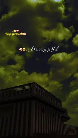 ہائے غربت 🥹❤️‍🩹#aesthetic #poetry #poetrystatus #grow #foryou 