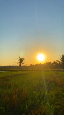 Lagu melayu itu merdu ya gaess  #lagumelayu #senja #diambangsore 