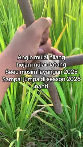 Yh sudah selesai#musimlayangan2025 #xybca 