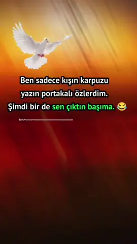 😁