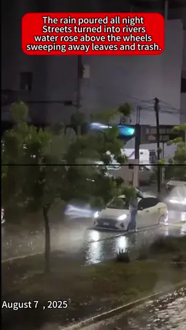 Cars parked along the street were surrounded by water, their locked doors looking like sealed, hollow shells.#floods #flooding #climate#Mexico#weather