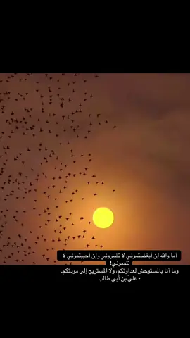 #شعور #هدوء #explorer #اكسبلور 