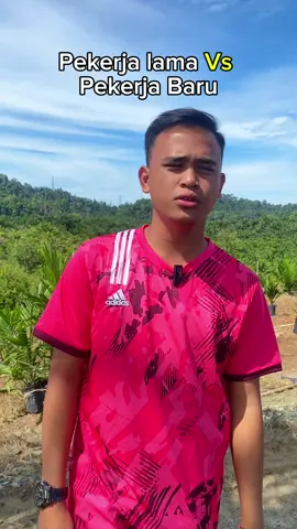 Baru sikit cehhh #sawit #sabah #malaysia #sarawak #pinoy #sarawak #pokokkelapasawit🌴🌴 #agriculture #pekebun #pekebunkecil #sabahancrew_fams #fyp #fyppppppppppppppppppppppp #foryoupage #viral #viralvideo #tiktok #capcut #xyzbca #trending #trend 