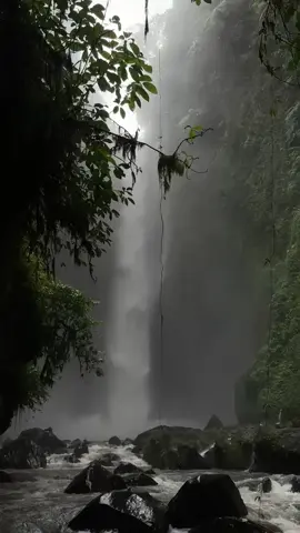 Air terjun langkuik tinggi,surga tersembunyinya malalak😍 @mutiarsdn  #airterjunlangkuiktinggi  #airterjun  #alamindonesia  #minangtiktok  #fyp 