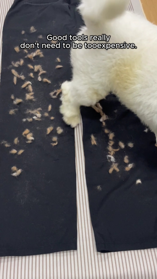 No more fur flying around#pethairremoval #pethairremover #pethair #petproducts #PetsOfTikTok #fyp