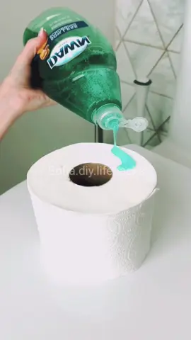 #DIY #LifeHack #tiktokhacks #fyp 