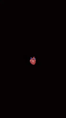 🖤💍......foryoU#like #folw #fypシ゚viral #vewisproblem #fypppppviral 