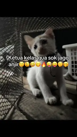 Sok sok negur anjirr🤭🤭🤭#fypageシ #ketuakelas #moots? #fyp #sekolah #fyppppppppppppppppppppppp 
