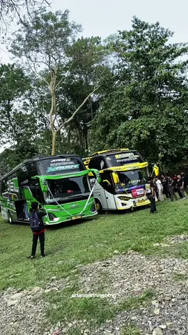 idola🤩 #msmmaudi #rahmanursyifa02 #cinematic #busmania #bismillahfyp 