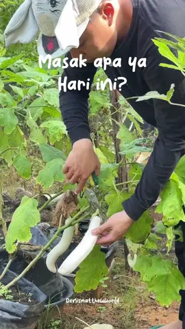 Ayo ikut aku cari bahan di kebun buat masak🥰✨