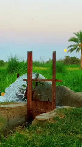تصوير نمراوي بعد 😌 #المصور_غزوان_النمراوي 