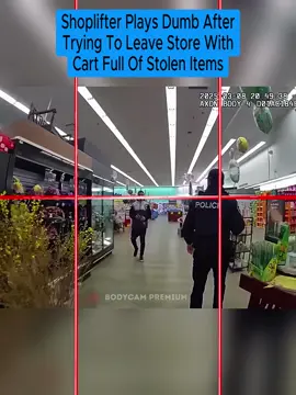 Part 1 | Shoplifter Plays Dumb After Trying To Leave Store With Cart Full Of Stolen Items #cops #copsoftiktok 