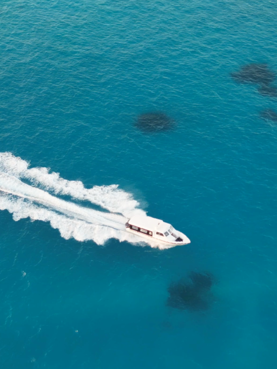 Explore Maldives  #ordinary #travel #visitmaldives #BeyondImagination #ocean 