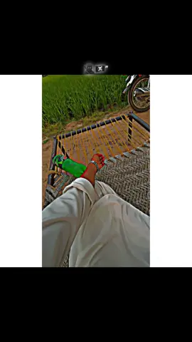#HA_G🐊🏴‍☠️#چیمہ_زرعی_فارم🌾❤️‍🔥 #پینڈاں_والے_جٹ💪👳 #فارمنگ_پکا_کاروبار_نی_جٹاں_دا_بس_بلیے🤘🌾 #cheema_880 