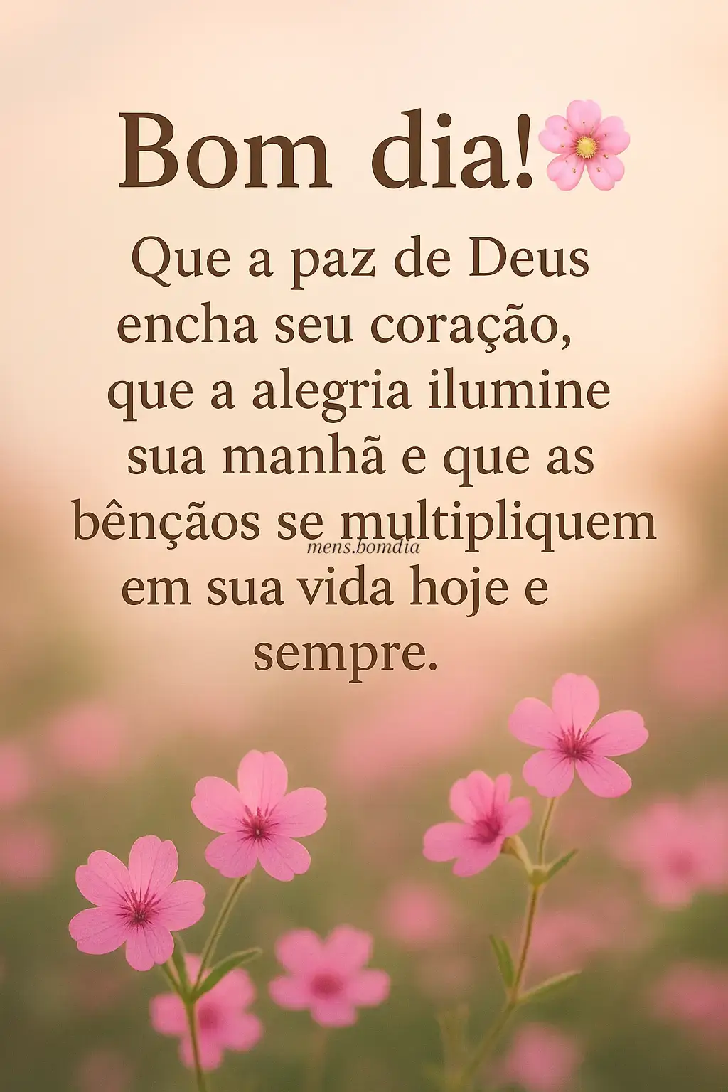 #bomdiacomdeus 