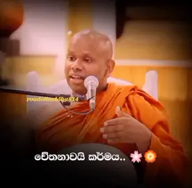 අහන්න 🤍🧘‍♂️…! • • • • • #foryou #foryoupage #trendingtiktok #fyp #discipline 
