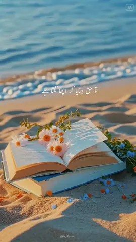 تو حق جتایا کر اچھا لگتا ہے 🥰 #foryoupagе #poetry #deeplines #shayri #lines  