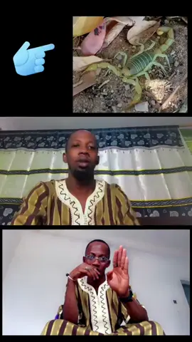 Professional Abom videos #fyp#foryou #f