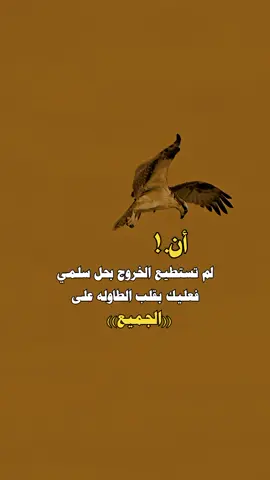 اقلب ابوها🙂‍↔️🗞️ #عبارات #capcut #إكسبلور  #تصميم_فيديوهات🎶🎤🎬 