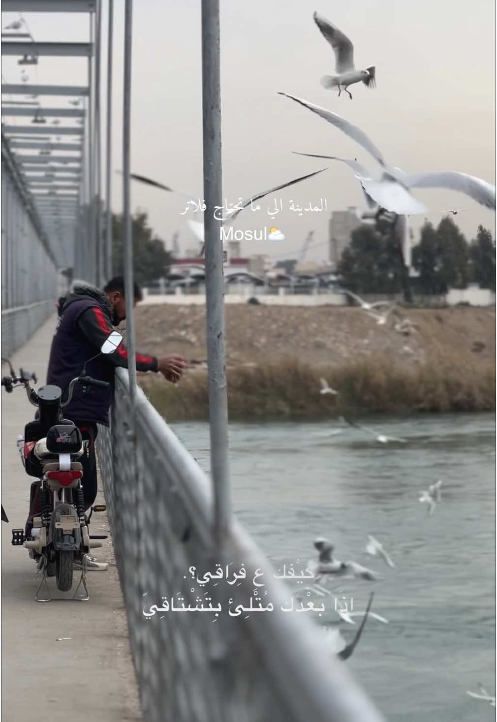 #تصويري_احترافي_الاجواء👌🏻🕊 #تصاميمي🔥✌🏻 #حالات_واتساب #ستوريات 