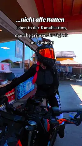 Nicht alle Ratten leben in der Kanalisation...#bikergirl #ktm790 #bikergirl 