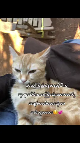 ပြောပြချင်လို့@Aaaa #viralvideo #Crd 
