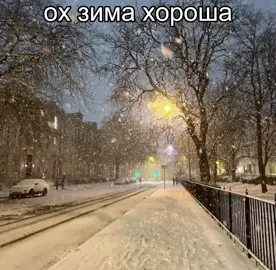 снег и елки ледяные горки #новый #год #рекомендации #новыйгод #америка 