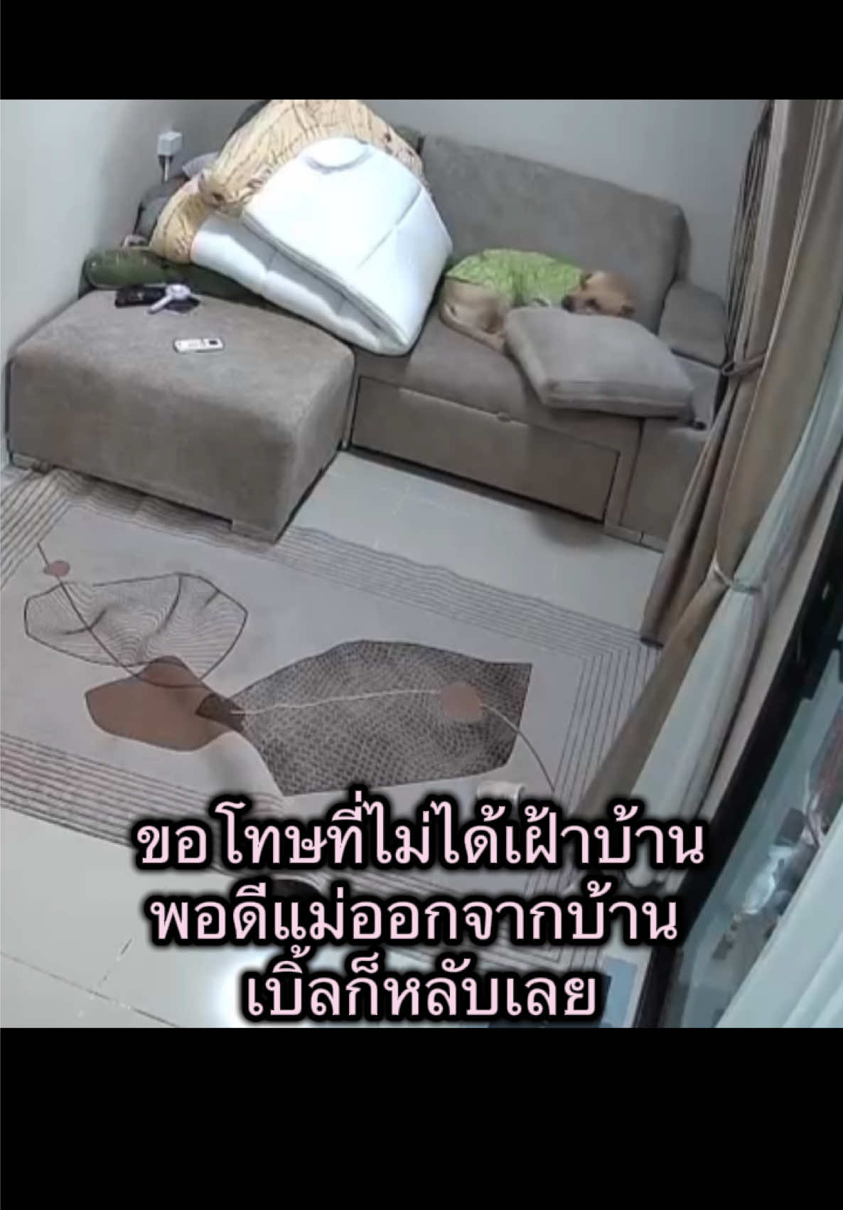 ก็คนมังง่วงอ่าาาา 😴😴😴🥱 #บับเบิ้ลแบบเบิ้ลเบิ้ล #ลาบาดอร์รีทรีฟเวอร์ #labradorretriever #สัตว์เลี้ยงtiktok 