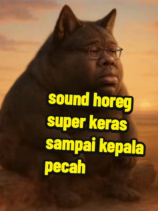 Caos more + sound horeg + + funk + suara keras #fyp #foryou #firal #fypviralシ #fypppp 
