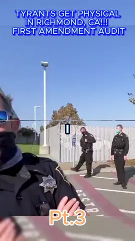 #copsoftiktok #audit #auditing #cops 