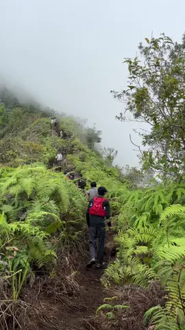 📍 puncak pesawaran, kabupaten pesawaran, lampung (1662 mdpl) #mtpesawaran #fyp #foryou #gununglampung #viral 