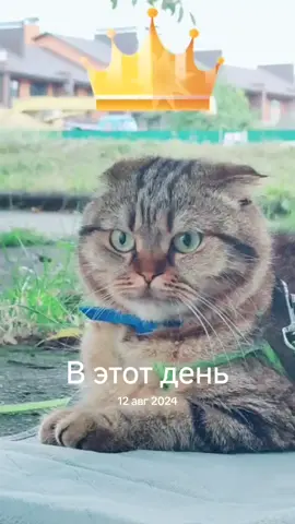 #ВэтотДень