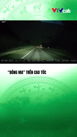 (Nguồn: MXH) Người đi bộ như 