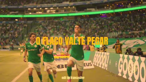 Hoje tem gol do flaco|#viral #fyp #edit #fy #sep #palmeiras #viralvideos #flacolopez 