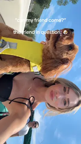 this is what I mean when I ask for a plus 1 #dogsoftiktok #besties #lakelife #boat #dogmom