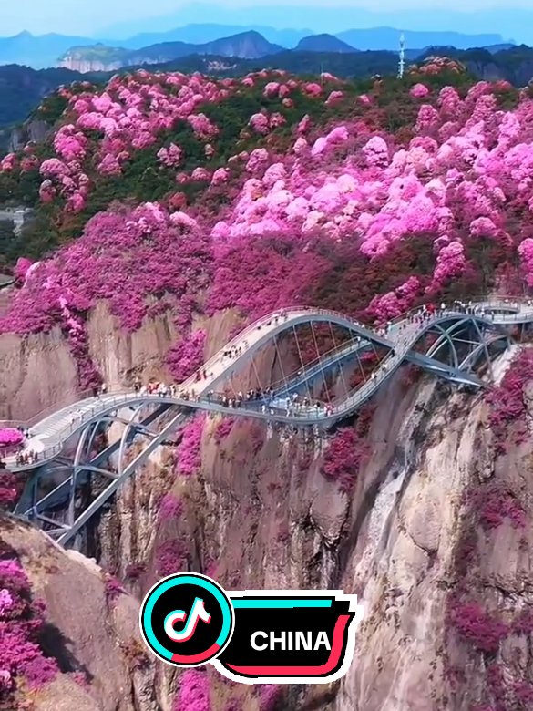 Welcome To China😍😍😍 #china🇨🇳 #chinatravel #travel #traveltiktok #aroundtheworld 