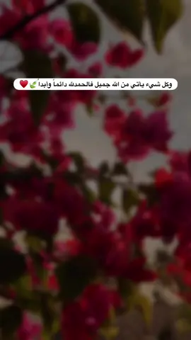 - قـال امـير المـؤمنين ؏ـلي ´ عليه السلام ` مَنْ عَامَلَ النَّاسَ بِالْإِسَاءَةِ كَافَئُوهُ بِهَا المصدر : غرر الحكم ودرر الكلم.                                 📜🍃♥️🫀🍂#اللهم_صل_على_محمد_وآل_محمد #ويبقى_الحسين_في_قلوبنا💔 #تصويري_احترافي_الاجواء👌🏻🕊😴 #الله_هوه_الحب #كربلاء_مدينة_العشق_والعاشقين 