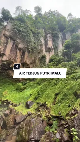 Air Terjun Putri Malu adalah salah satu daya tarik wisata alam yang terletak di Kabupaten Way Kanan, Provinsi Lampung, Indonesia. Air Terjun Putri Malu terletak di daerah pegunungan yang cukup terpencil, sehingga keindahan alamnya masih terjaga dengan baik. Air Terjun Putri Malu memiliki ketinggian sekitar 60 meter dan memiliki aliran air yang cukup deras. Air terjun dini dikelilingi pepohonan hijau yang rindang yang membuat suasana semakin sejuk dan asri,yuk kesini,HAPPY HOLIDAY GUYS#wisataindonesia #wisatawaykanan #airterjunputrimalu #arterputrimalu #fyp 