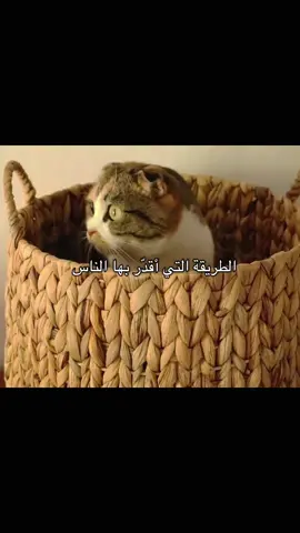 #الراحة_النفسيه___ارح_سمعك #advice #نصائح #طمئنينه #العلاقات 