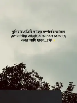 দুনিয়ার প্র‍তিটি কাছের সম্পর্কের আসল রুপ দেখিয়ে আল্লাহ বলেন 