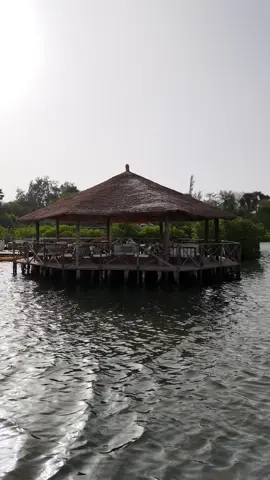 Bienvenue au 📍Souimanga Lodge 🌿 Une parenthèse hors du temps. Ici, nature, calme et détente sont au rendez-vous, mais aussi, excursions et activités pour une évasion parfaite au cœur du Sine Saloum. Votre prochain séjour est peut-être ici 🤗 #SouimangaLodge #sinesaloum #senegal #mangrove #nature