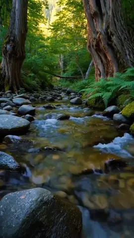 #nature 