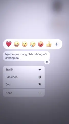 sắp cùng nhau đón cái tết thứ 2 rồi đó ha #xhtiktok #bff #ff_lover 