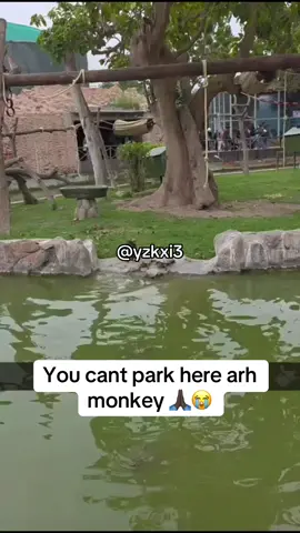 #yzkxi3 #fy #meme 
