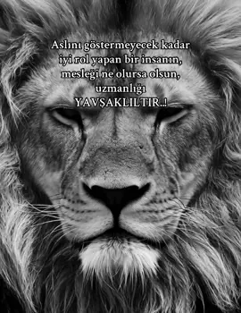 Aslını göstermeyecek kadar iyi rol yapan bir insanın, mesleği ne olursa olsun, uzmanlığı yavşaklıktır#aslan #arslan #rajon #kurtlarvadisi #keşfetbeniöneçıkar 