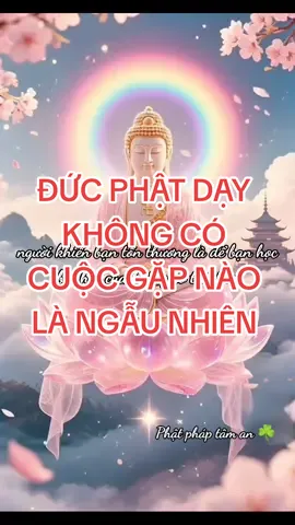 Đức Phật dạy không có một cuộc gặp gỡ nào là ngẫu nhiên  #loiphatday #loiphatday🙏 #lờiphậtdạy #nammo #nammoadidaphat #nammobonsuthichcamauniphat #nammoadidaphat🙏🙏🙏 #adidaphat #phatphap #phậtphápnhiệmmầu #phật #phatphapvobien #phatphapnhiemmau🙏🙏🙏 #phatgiao #phattaitam #buddha #lenxuhuong 