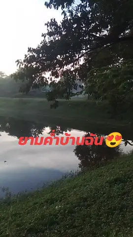 #เทรนด์วันนี้ #มิวสิค #บันเทิง @ผู้ติดตาม 