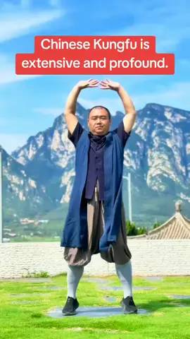 #foryou #fyp #selfdefense #shaolinkungfu #kungfu #shaolin #shaolinkungfu #chinesekungfu #brucelee #jeetkunedo #wingchun #taijiquan #tiktok #outdoor 